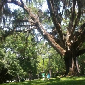 Meet your Posher, Meredith